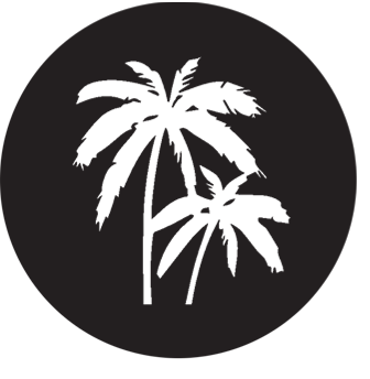 Déepalma Records® | Follow the palms